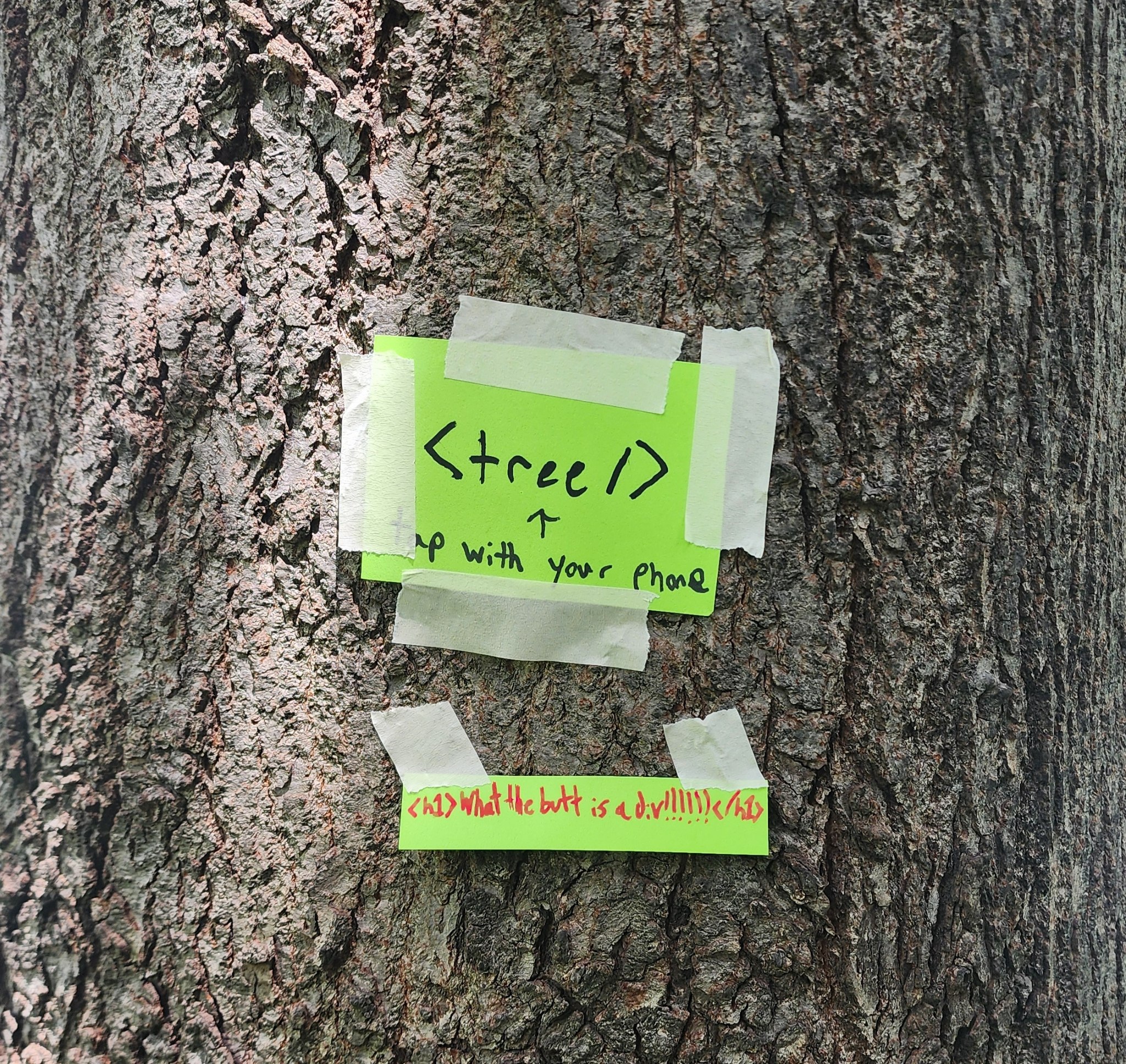 A tree with paper taped to it asking onlookers to tap their phones. Beneath, another piece of paper asking what a div is.